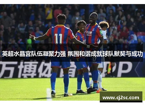 英超水晶宫队伍凝聚力强 氛围和谐成就球队默契与成功